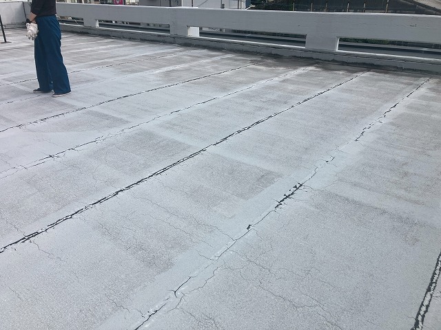 陸屋根の状況確認